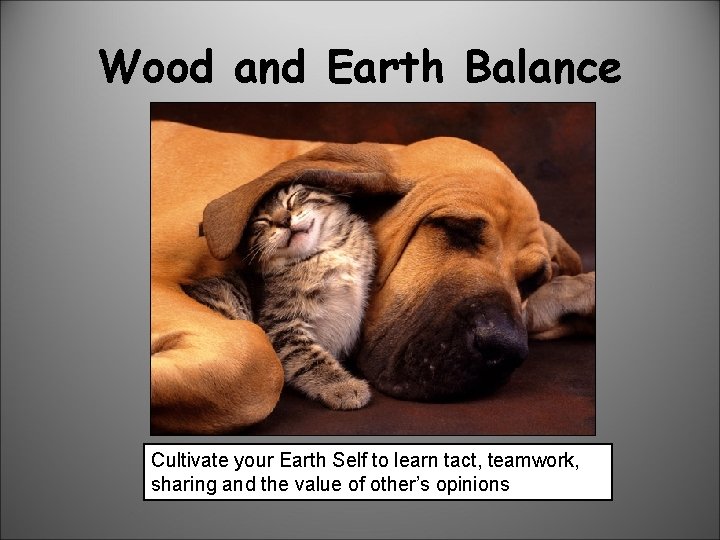 Wood and Earth Balance Cultivate your Earth Self to learn tact, teamwork, sharing and