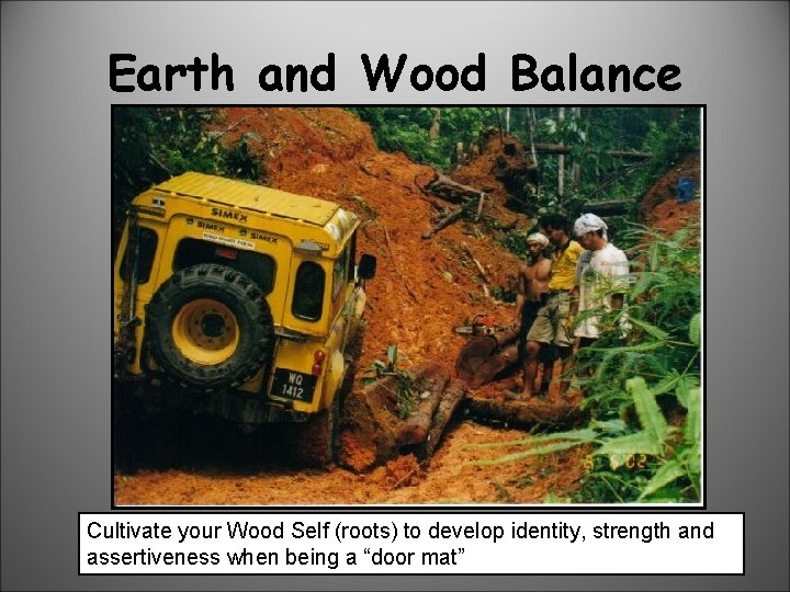 Earth and Wood Balance Cultivate your Wood Self (roots) to develop identity, strength and