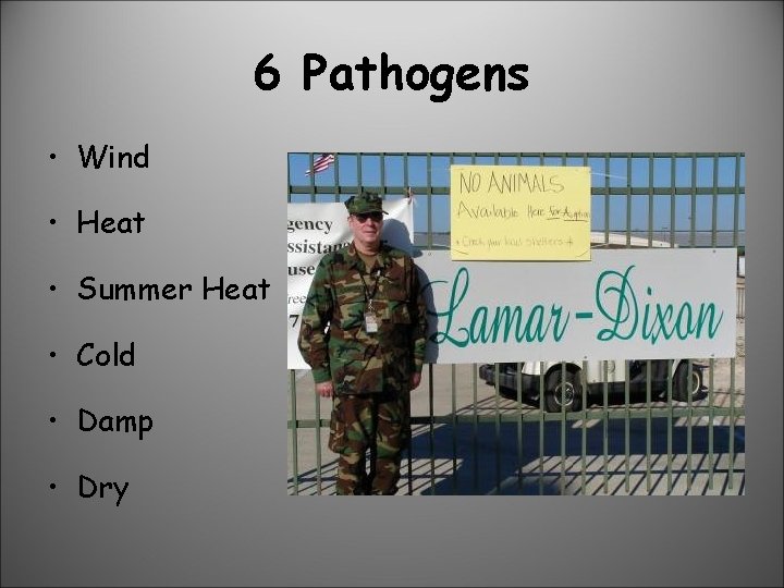6 Pathogens • Wind • Heat • Summer Heat • Cold • Damp •