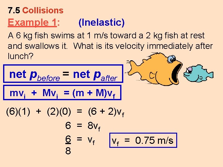 7. 5 Collisions Example 1: (Inelastic) A 6 kg fish swims at 1 m/s