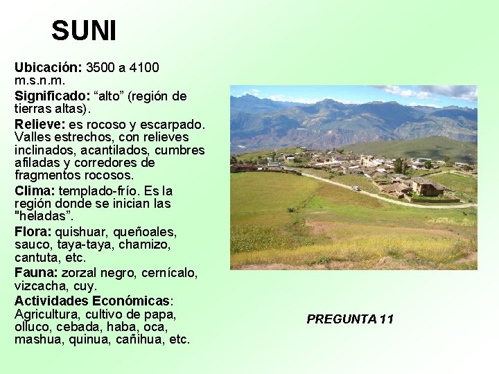 SUNI Ubicación: 3500 a 4100 m. s. n. m. Significado: “alto” (región de tierras