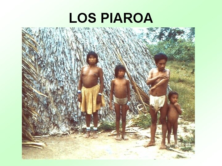 LOS PIAROA 