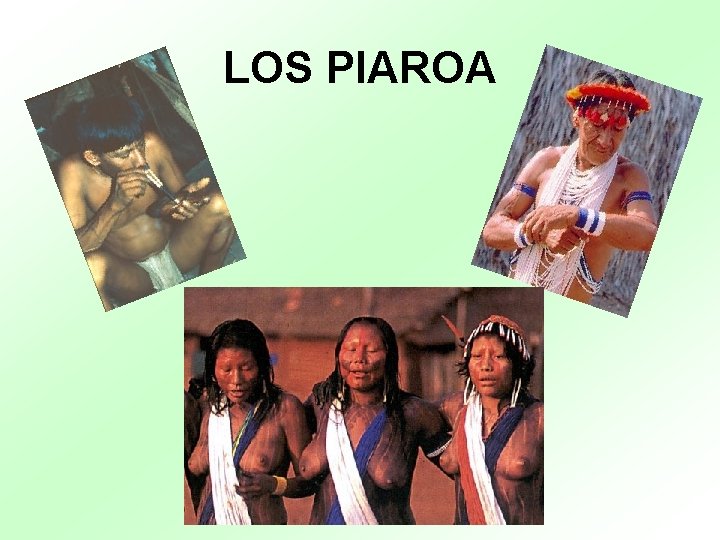 LOS PIAROA 