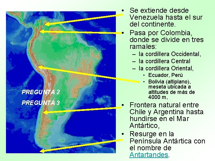  • Se extiende desde Venezuela hasta el sur del continente. • Pasa por