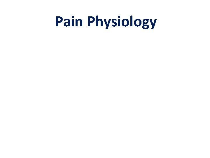 Pain Physiology 