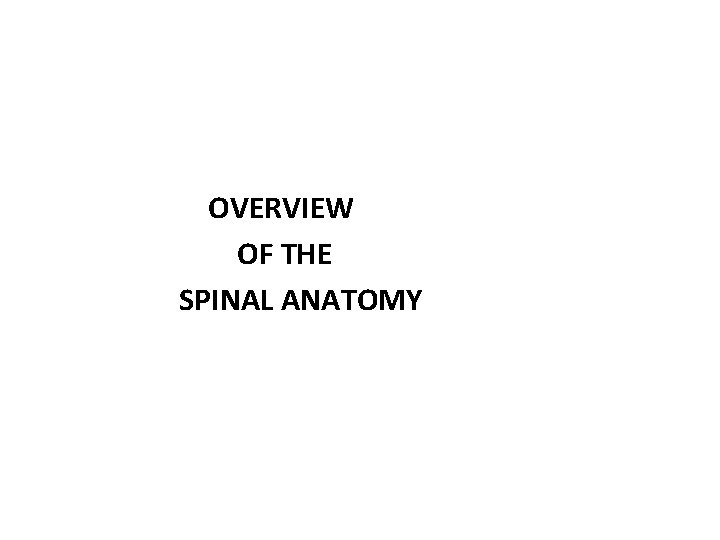 OVERVIEW OF THE SPINAL ANATOMY 