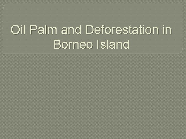 Oil Palm and Deforestation in Borneo Island 