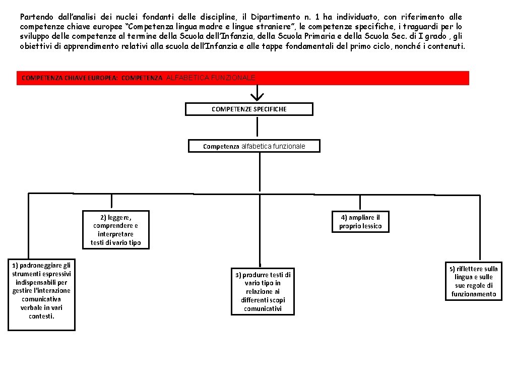 Partendo dall’analisi dei nuclei fondanti delle discipline, il Dipartimento n. 1 ha individuato, con