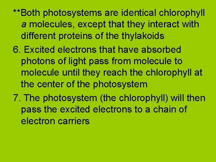 **Both photosystems are identical chlorophyll a molecules, except that they interact with different proteins