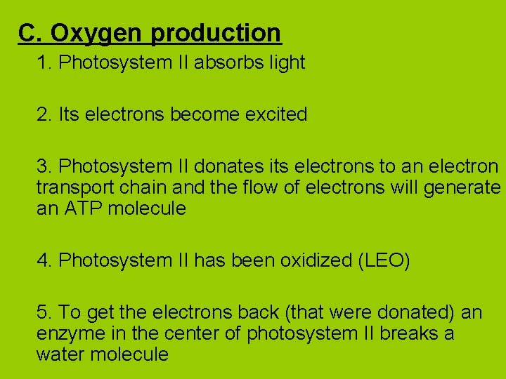 C. Oxygen production 1. Photosystem II absorbs light 2. Its electrons become excited 3.
