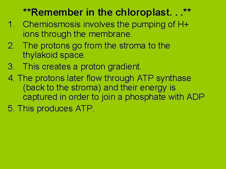 **Remember in the chloroplast. . . ** 1. Chemiosmosis involves the pumping of H+