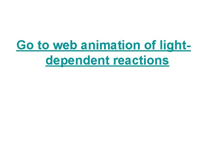 Go to web animation of lightdependent reactions 