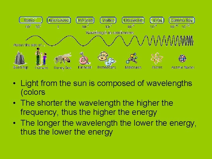 • Light from the sun is composed of wavelengths (colors • The shorter