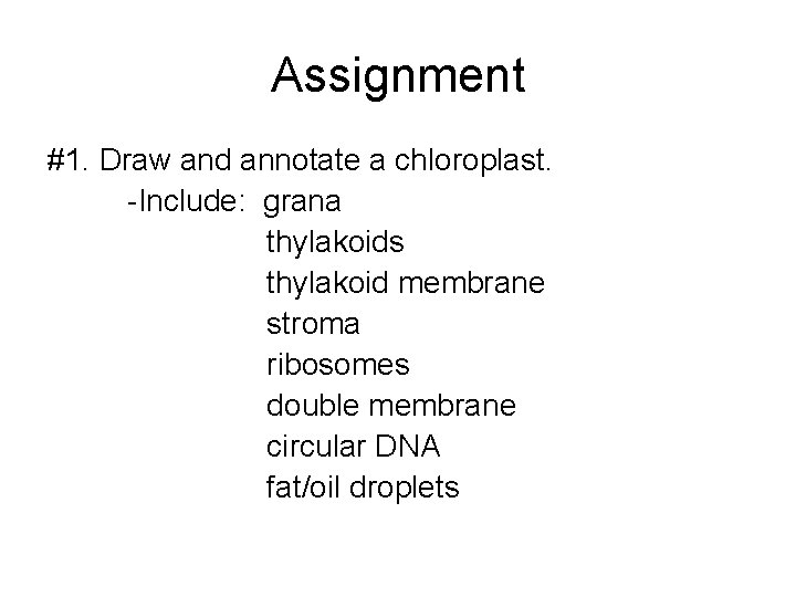 Assignment #1. Draw and annotate a chloroplast. -Include: grana thylakoids thylakoid membrane stroma ribosomes