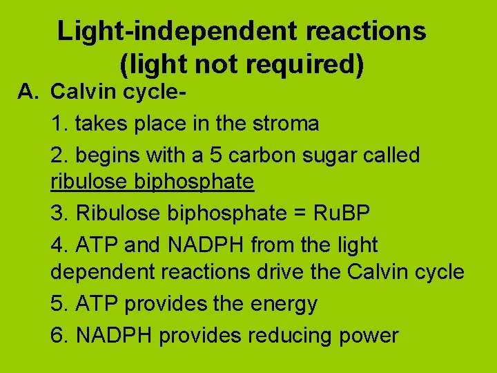 Light-independent reactions (light not required) A. Calvin cycle 1. takes place in the stroma