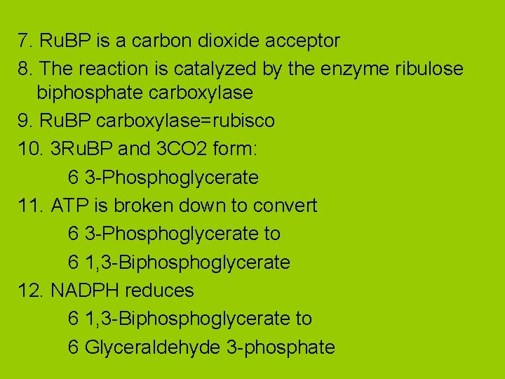 7. Ru. BP is a carbon dioxide acceptor 8. The reaction is catalyzed by