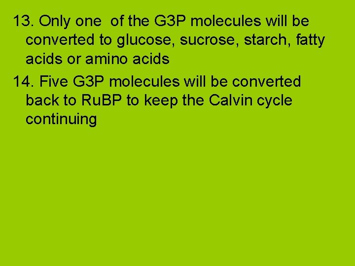 13. Only one of the G 3 P molecules will be converted to glucose,