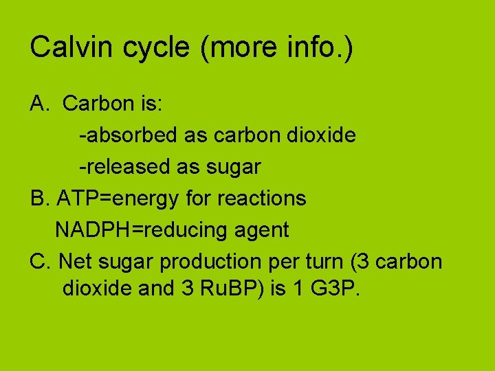 Calvin cycle (more info. ) A. Carbon is: -absorbed as carbon dioxide -released as