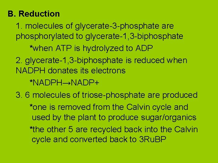 B. Reduction 1. molecules of glycerate-3 -phosphate are phosphorylated to glycerate-1, 3 -biphosphate *when