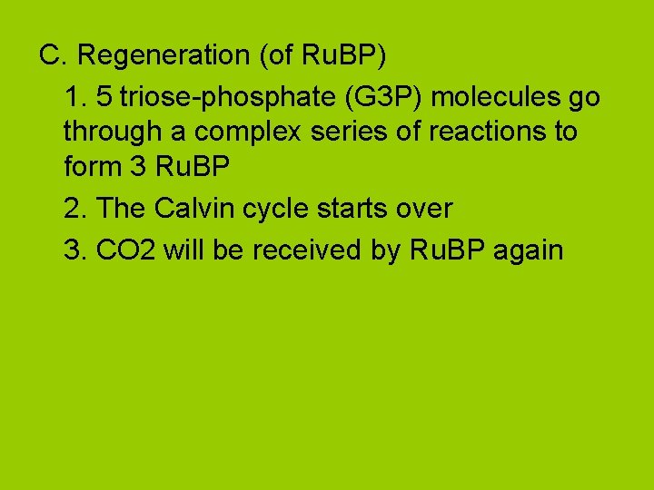 C. Regeneration (of Ru. BP) 1. 5 triose-phosphate (G 3 P) molecules go through