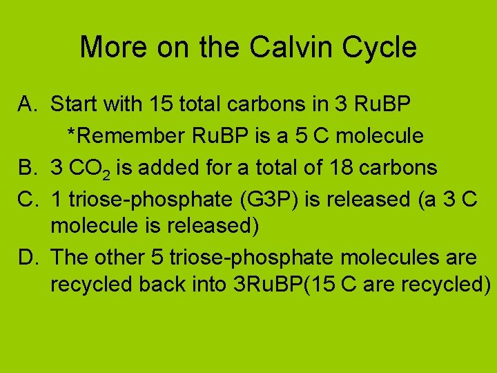 More on the Calvin Cycle A. Start with 15 total carbons in 3 Ru.