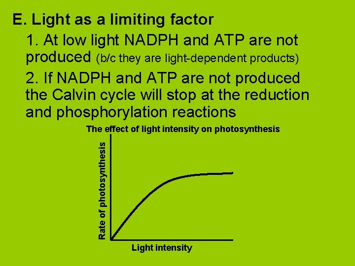 E. Light as a limiting factor 1. At low light NADPH and ATP are