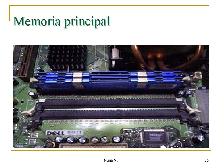 Memoria principal Nuria M. 75 