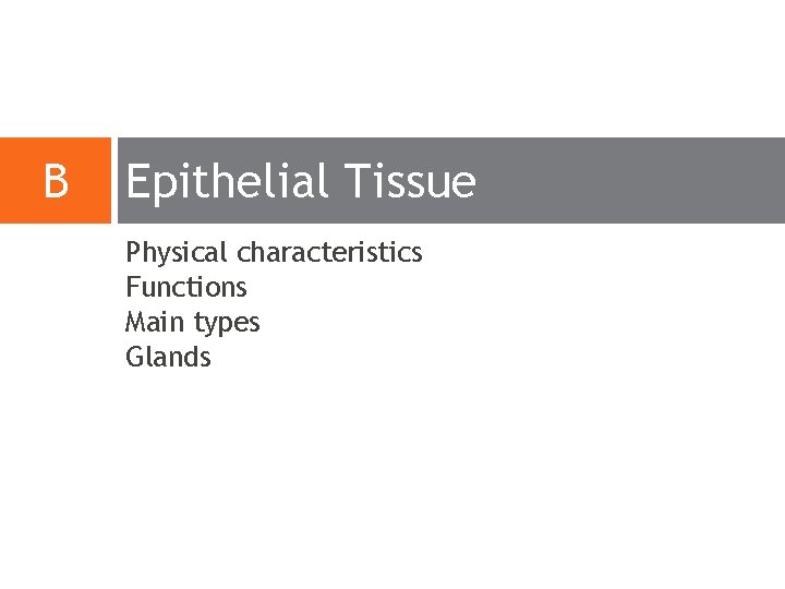 B Epithelial Tissue Physical characteristics Functions Main types Glands B Epithelial Tissue Physical characteristics Functions Main types Glands