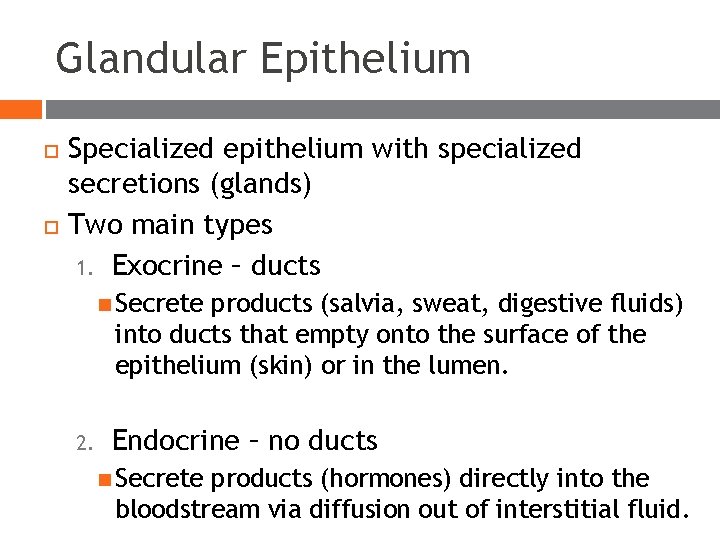 Glandular Epithelium Specialized epithelium with specialized secretions (glands) Two main types 1. Exocrine – Glandular Epithelium Specialized epithelium with specialized secretions (glands) Two main types 1. Exocrine –