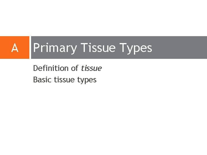 A Primary Tissue Types Definition of tissue Basic tissue types A Primary Tissue Types Definition of tissue Basic tissue types
