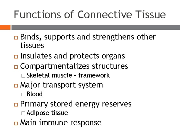 Functions of Connective Tissue Binds, supports and strengthens other tissues Insulates and protects organs Functions of Connective Tissue Binds, supports and strengthens other tissues Insulates and protects organs