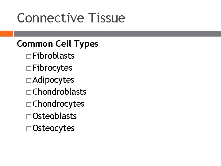 Connective Tissue Common Cell Types � Fibroblasts � Fibrocytes � Adipocytes � Chondroblasts � Connective Tissue Common Cell Types � Fibroblasts � Fibrocytes � Adipocytes � Chondroblasts �