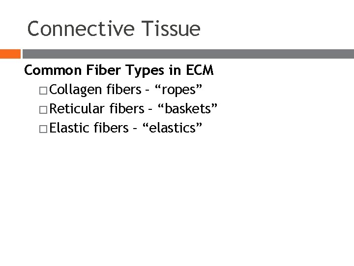 Connective Tissue Common Fiber Types in ECM � Collagen fibers – “ropes” � Reticular Connective Tissue Common Fiber Types in ECM � Collagen fibers – “ropes” � Reticular