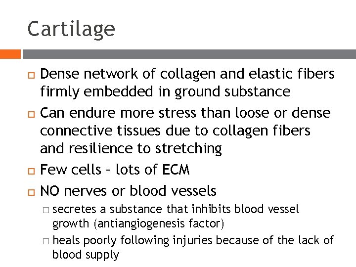 Cartilage Dense network of collagen and elastic fibers firmly embedded in ground substance Can Cartilage Dense network of collagen and elastic fibers firmly embedded in ground substance Can