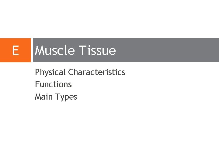 E Muscle Tissue Physical Characteristics Functions Main Types E Muscle Tissue Physical Characteristics Functions Main Types