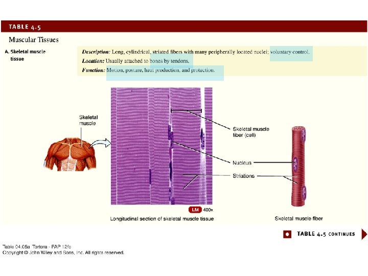 04_table_05 a 04_table_05 a