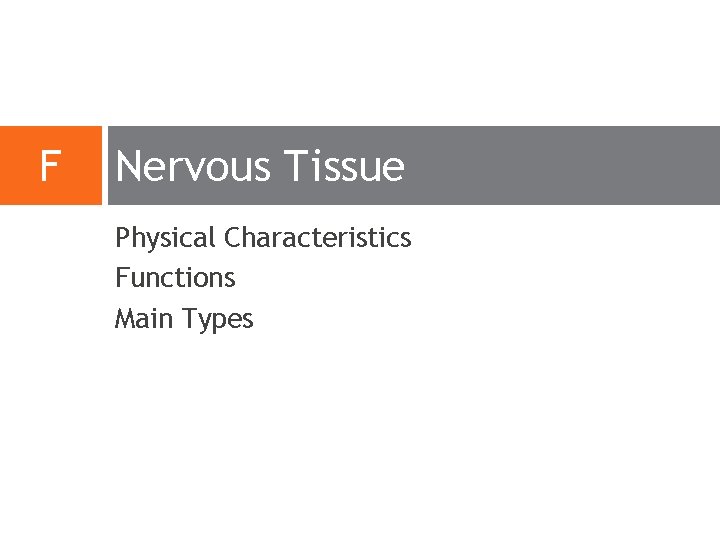 F Nervous Tissue Physical Characteristics Functions Main Types F Nervous Tissue Physical Characteristics Functions Main Types