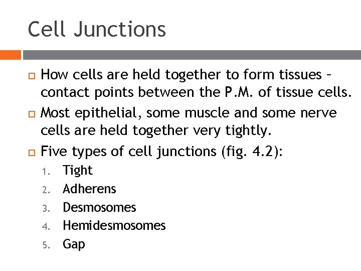 Cell Junctions How cells are held together to form tissues – contact points between Cell Junctions How cells are held together to form tissues – contact points between
