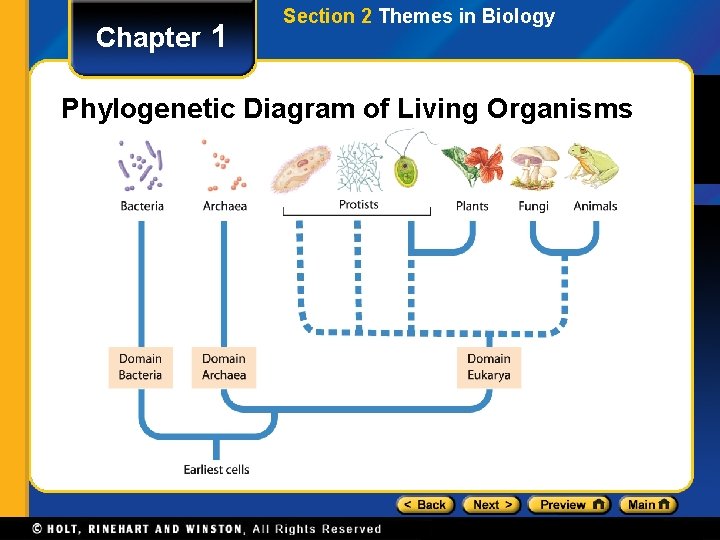 Chapter 1 Section 2 Themes in Biology Phylogenetic Diagram of Living Organisms 