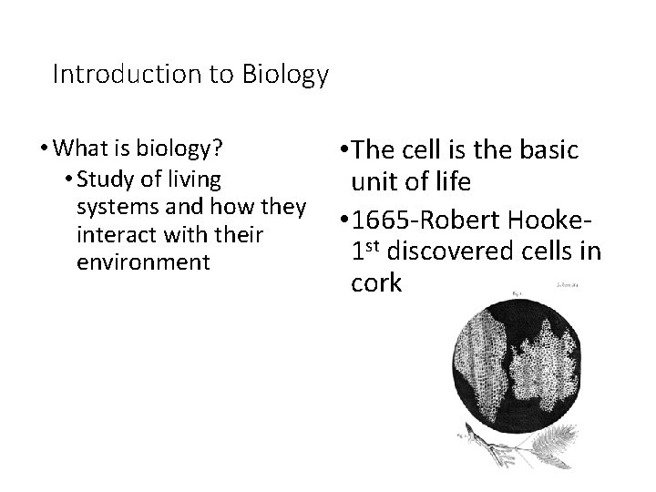 Introduction to Biology • What is biology? • Study of living systems and how