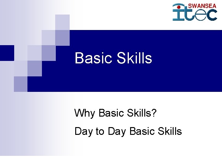 Basic Skills Why Basic Skills? Day to Day Basic Skills 