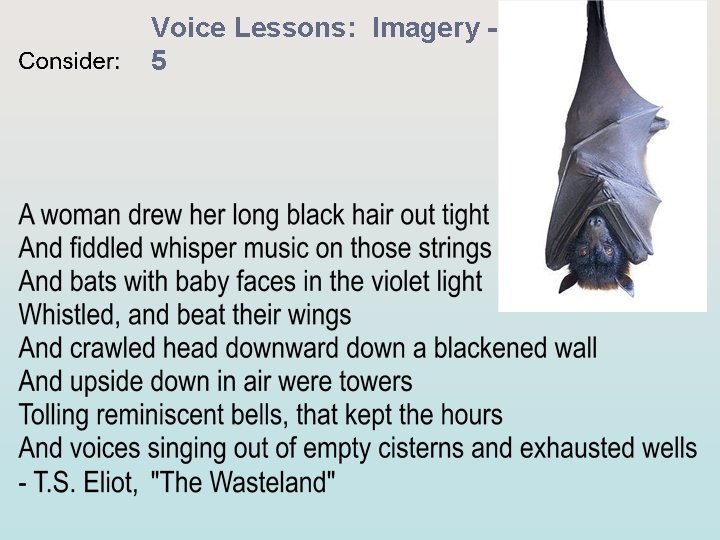 Voice Lessons: Imagery 5 