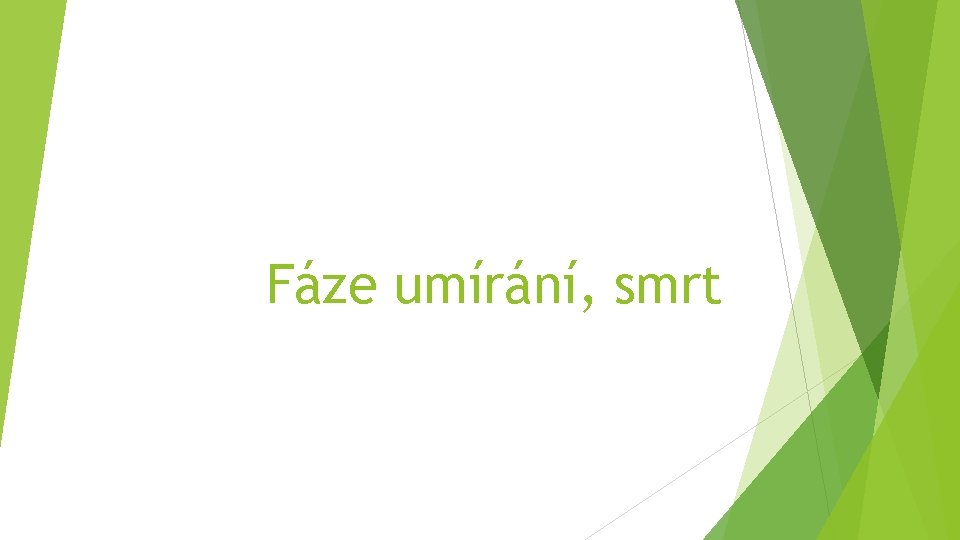 Fáze umírání, smrt 