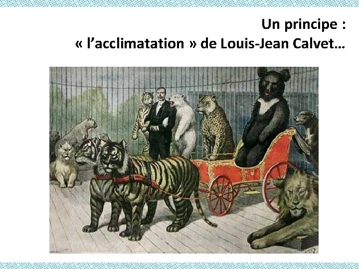 Un principe : « l’acclimatation » de Louis-Jean Calvet… 