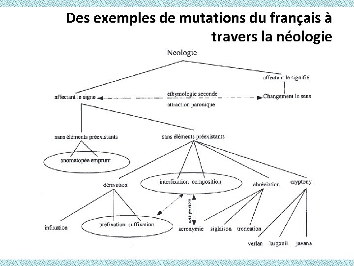 Des exemples de mutations du français à travers la néologie 