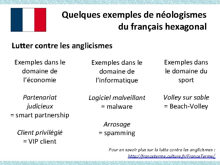 Quelques exemples de néologismes du français hexagonal Lutter contre les anglicismes Exemples dans le