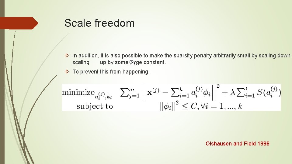 Scale freedom In addition, it is also possible to make the sparsity penalty arbitrarily