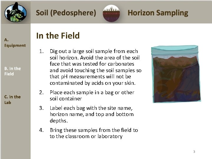 In the Field 1. Dig out a large soil sample from each soil horizon.