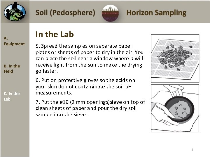 In the Lab 5. Spread the samples on separate paper plates or sheets of