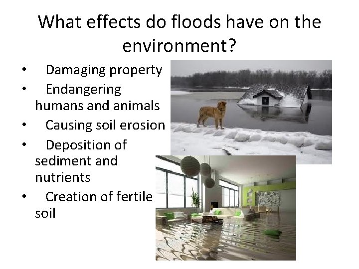 What effects do floods have on the environment? Damaging property Endangering humans and animals
